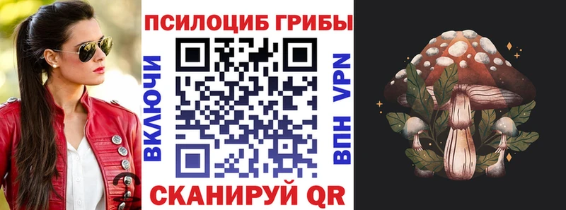 даркнет сайт  Щёлкино  Псилоцибиновые грибы MAGIC MUSHROOMS 